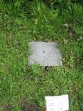 image of grave number 226956